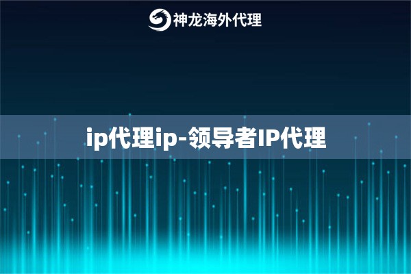 ip代理ip-领导者IP代理
