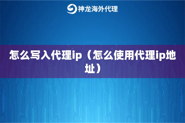 怎么写入代理ip（怎么使用代理ip地址）