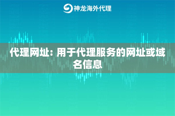 代理网址: 用于代理服务的网址或域名信息