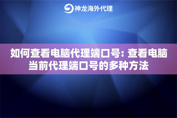 如何查看电脑代理端口号: 查看电脑当前代理端口号的多种方法
