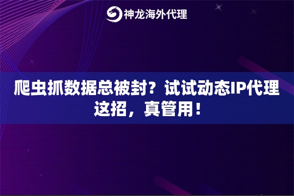爬虫抓数据总被封？试试动态IP代理这招，真管用！