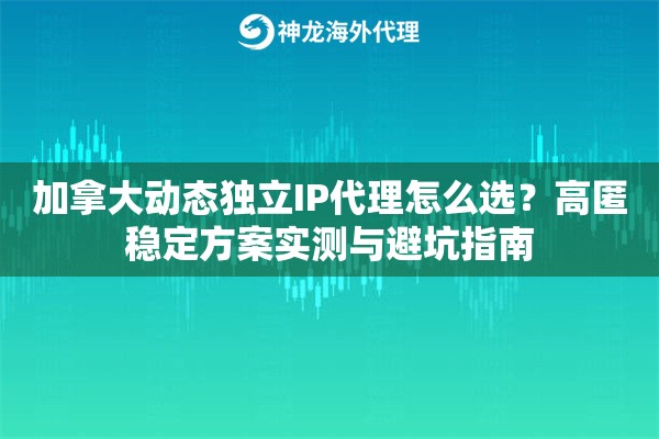 加拿大动态独立IP代理怎么选？高匿稳定方案实测与避坑指南