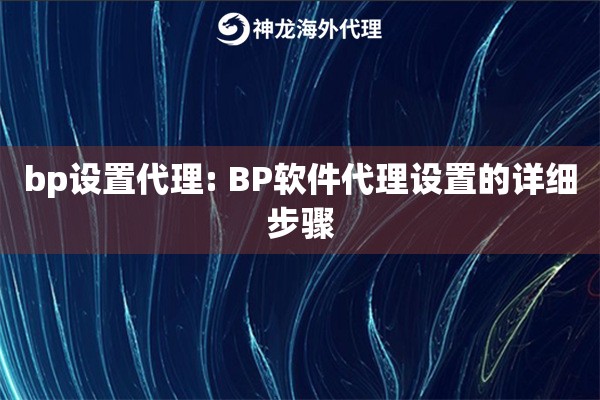 bp设置代理: BP软件代理设置的详细步骤 bp设置代理: BP软件代理设置的详细步骤