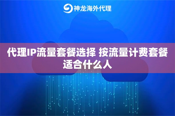 代理IP流量套餐选择 按流量计费套餐适合什么人
