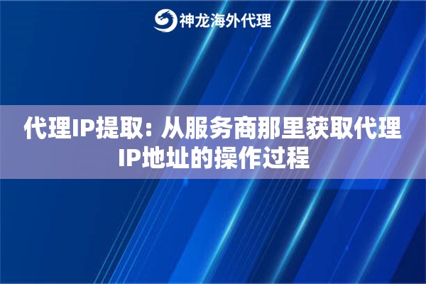 代理IP提取: 从服务商那里获取代理IP地址的操作过程
