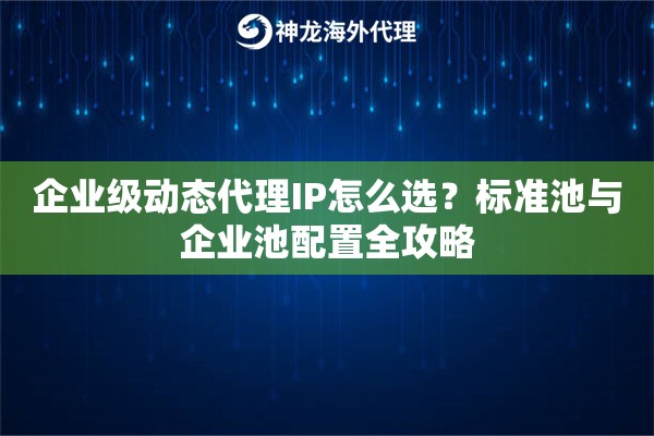 企业级动态代理IP怎么选？标准池与企业池配置全攻略