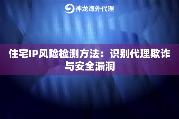 住宅IP风险检测方法：识别代理欺诈与安全漏洞