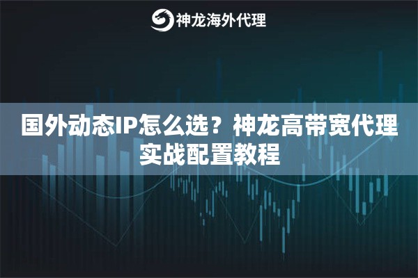 国外动态IP怎么选？神龙高带宽代理实战配置教程