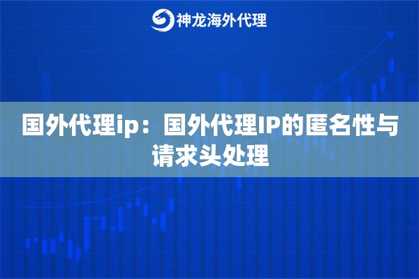 国外代理ip：国外代理IP的匿名性与请求头处理