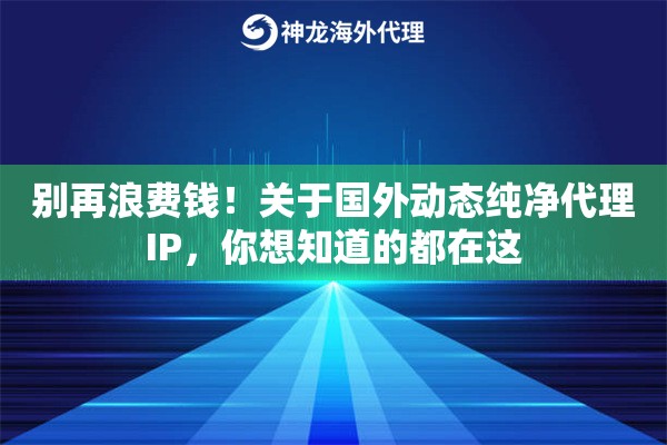别再浪费钱！关于国外动态纯净代理IP，你想知道的都在这