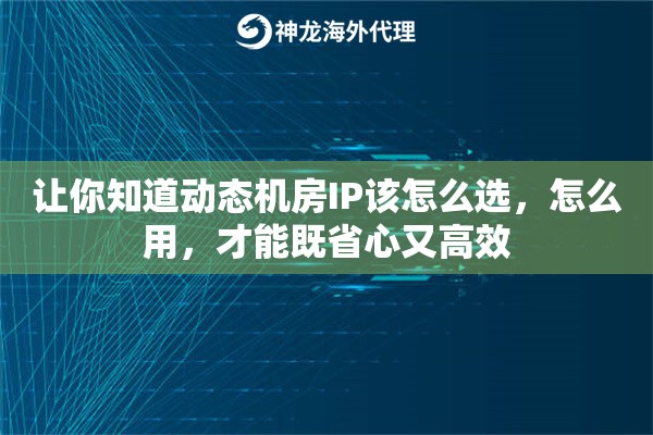 让你知道动态机房IP该怎么选，怎么用，才能既省心又高效