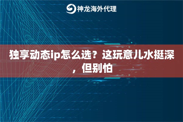 独享动态ip怎么选？这玩意儿水挺深，但别怕
