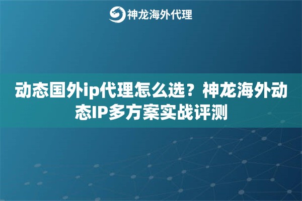 动态国外ip代理怎么选？神龙海外动态IP多方案实战评测