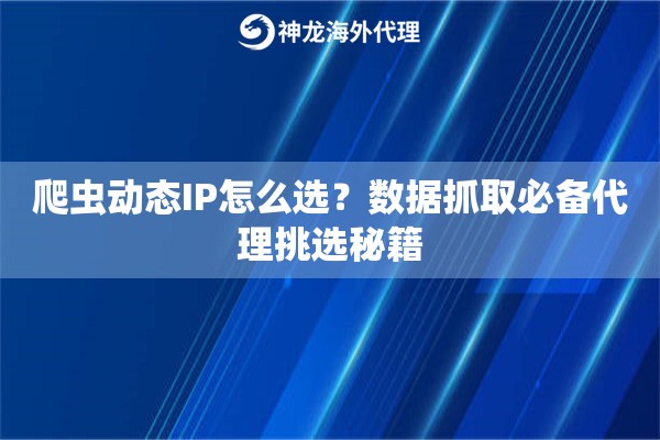 爬虫动态IP怎么选？数据抓取必备代理挑选秘籍